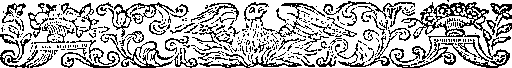 085/085540080000040_2.png