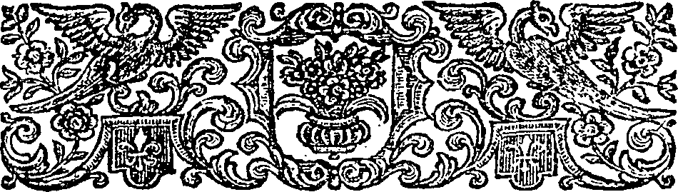 085/085540120002520_1.png