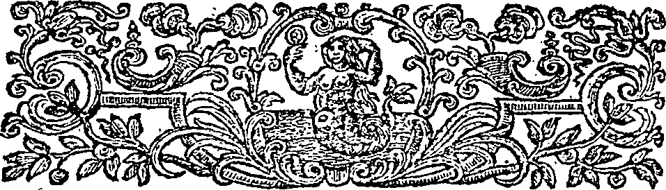 085/085540120003130_1.png