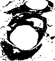 085/085580010301660_0.png