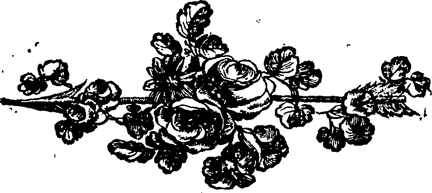 085/085600040000120_0.png
