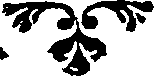 085/085620010100250_0.png