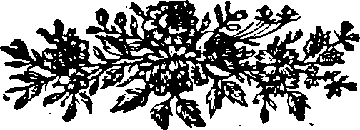 085/085620010100300_0.png