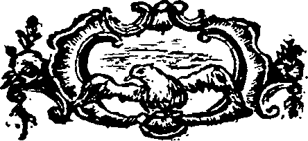 085/085620010101590_0.png