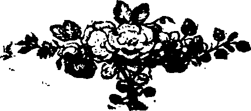 085/085620010101930_0.png