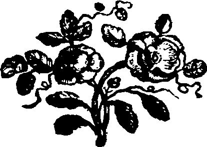 085/085620010200060_0.png