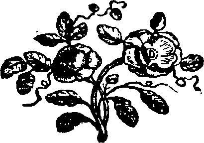 085/085620010201730_0.png