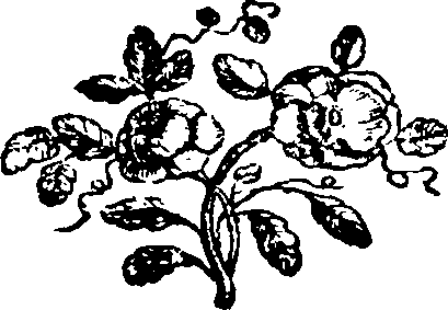 085/085620010300710_0.png