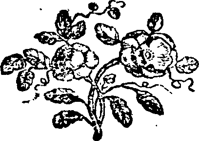 085/085620010301300_0.png