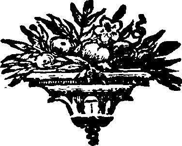 085/085620010301590_0.png