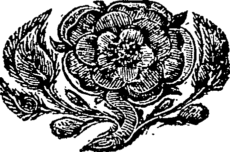 085/085660040000040_0.png