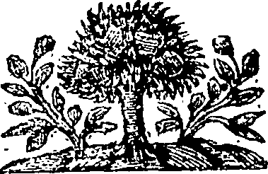 085/085660040000610_0.png