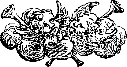 085/085680010100990_0.png