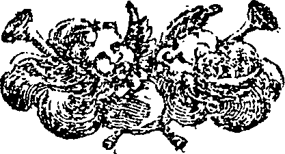 085/085680010203470_0.png