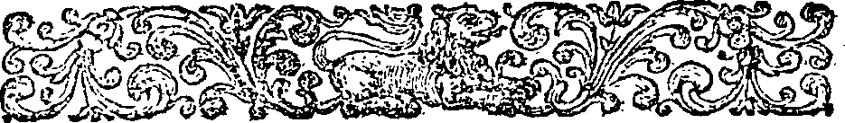 085/085680010300990_0.png