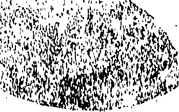 085/085780040000010_0.png