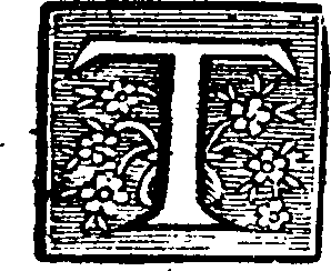 085/085810110000020_0.png
