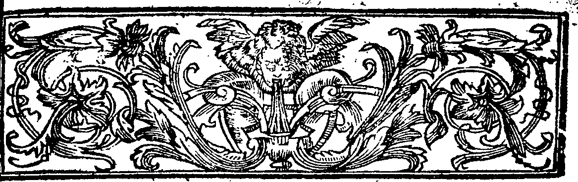 085/085810110000020_1.png