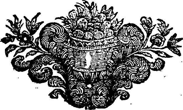 085/085810110001100_0.png