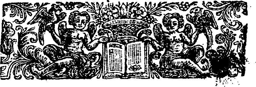 085/085810160000020_1.png