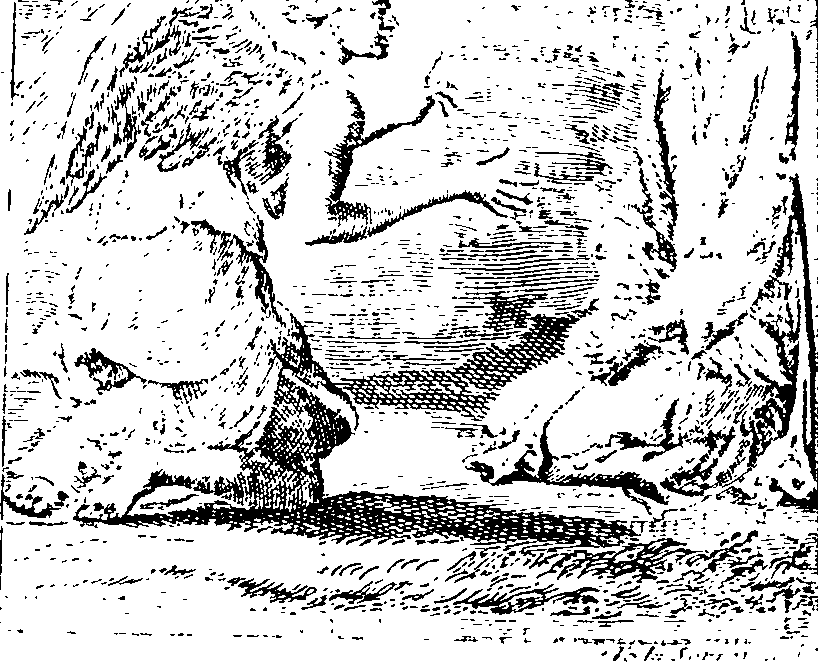 085/085810160001430_0.png