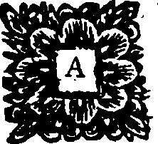 085/085820020000550_1.png