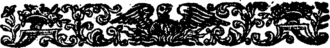 085/085820020000550_2.png