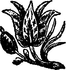 085/085840120000040_0.png