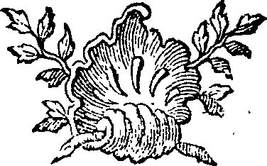 085/085840120000810_0.png