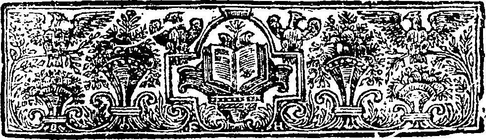 085/085870010000030_1.png