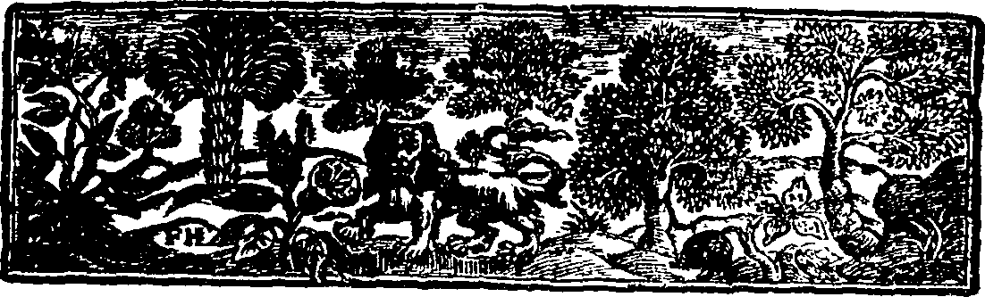 085/085870010000270_1.png