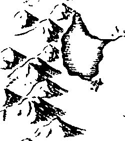 085/085940010000020_1.png