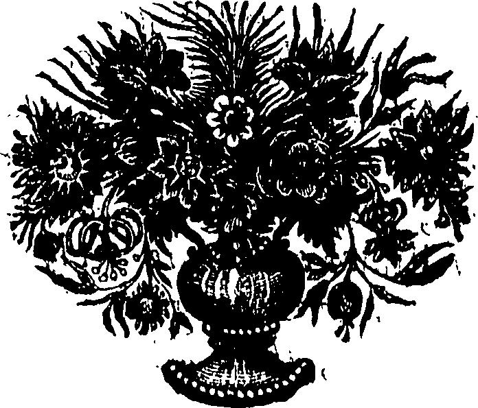 085/085940010000520_0.png