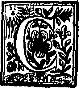 085/085940010000550_0.png