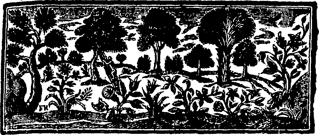 085/085940010000550_1.png