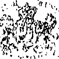 085/085940020004960_0.png
