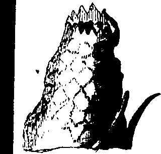 086/086030040000320_0.png