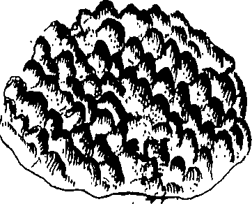 086/086030040000320_1.png