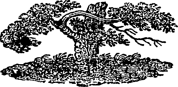 086/086120110100080_0.png