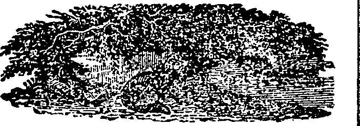 086/086120110200570_0.png