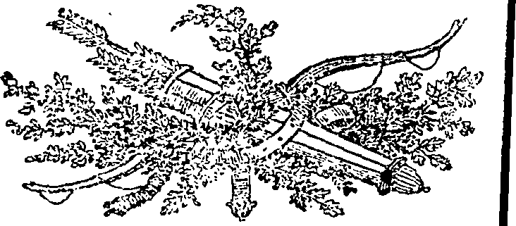 086/086120110201150_0.png