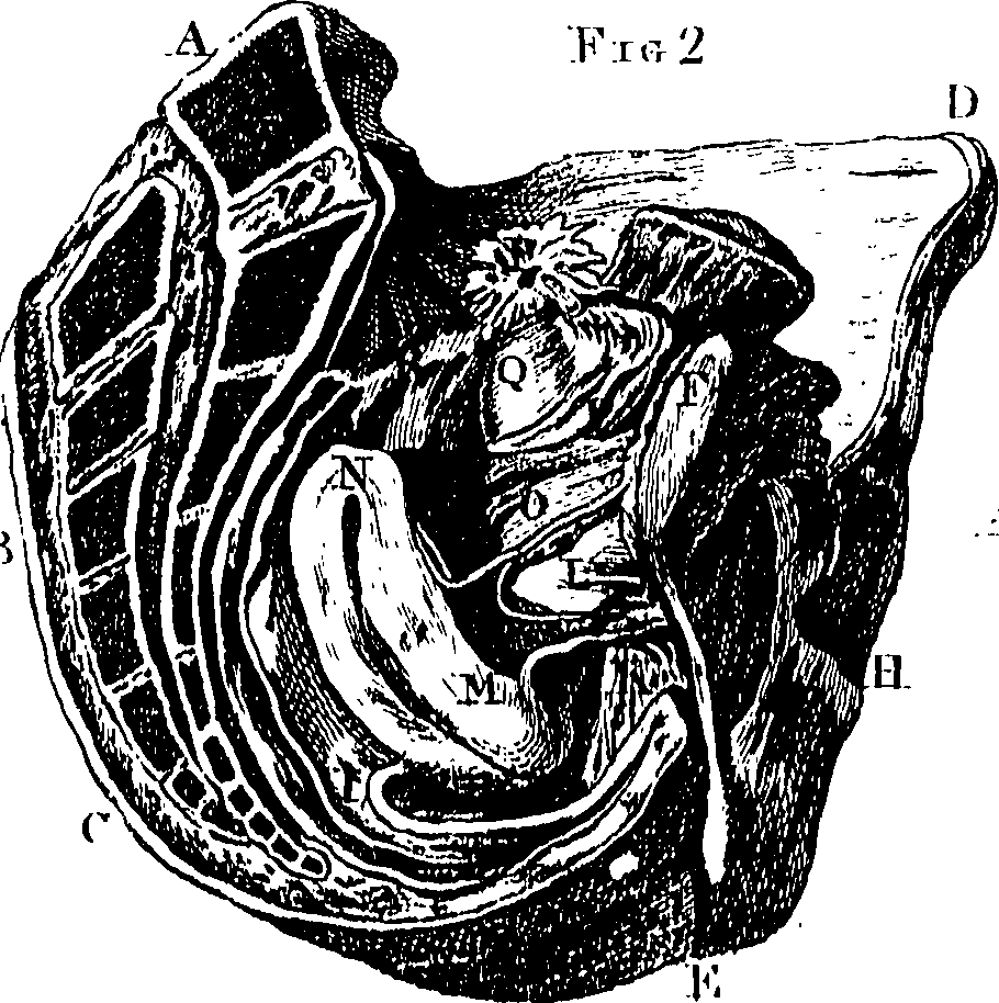 086/086360030000180_0.png