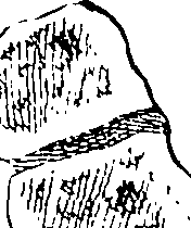 086/086360030000940_1.png