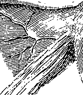 086/086380030000210_1.png