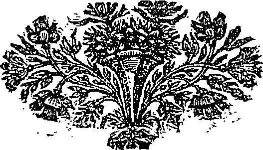 086/086510050102100_0.png
