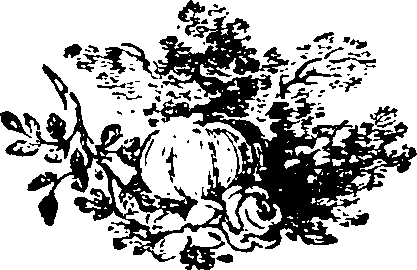 086/086530020000240_0.png