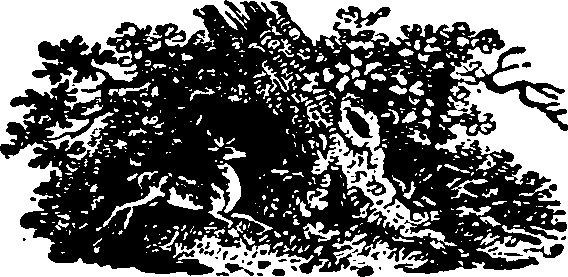086/086530020000380_0.png