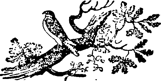 086/086530020000640_0.png