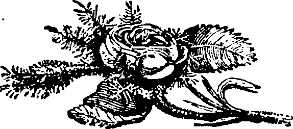 086/086530020000650_0.png