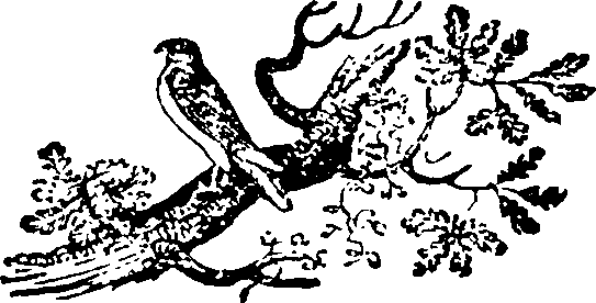 086/086530020001350_0.png